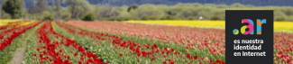.ar es nuestra identidad en Internet